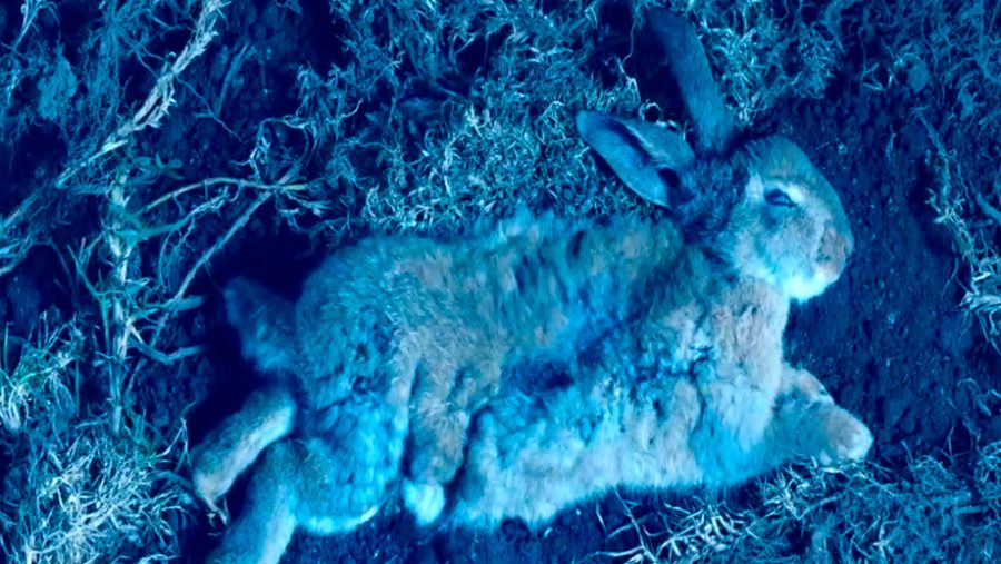 Azul obscuro azul celeste